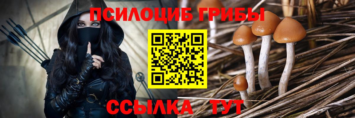 Псилоцибиновые грибы MAGIC MUSHROOMS Пугачёв