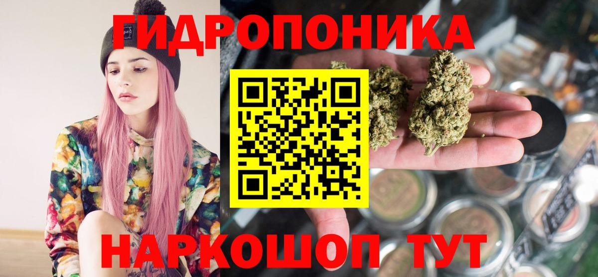 Каннабис план  Вход с VPN  Пугачёв  Каннабис OG Kush 